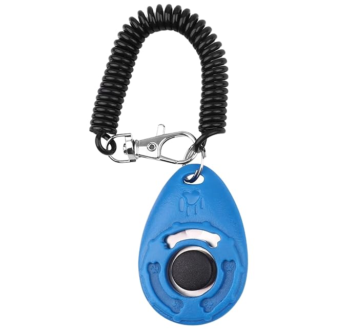 Generic Dog Training Clicker – Train Easily