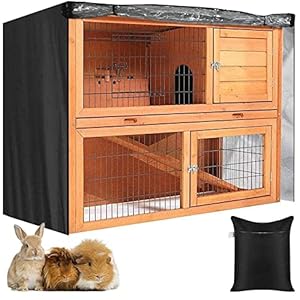 Generic Outdoor Rabbit Hutch – Live Happily